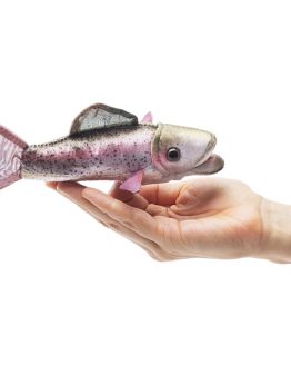 rainbow-trout-puppet
