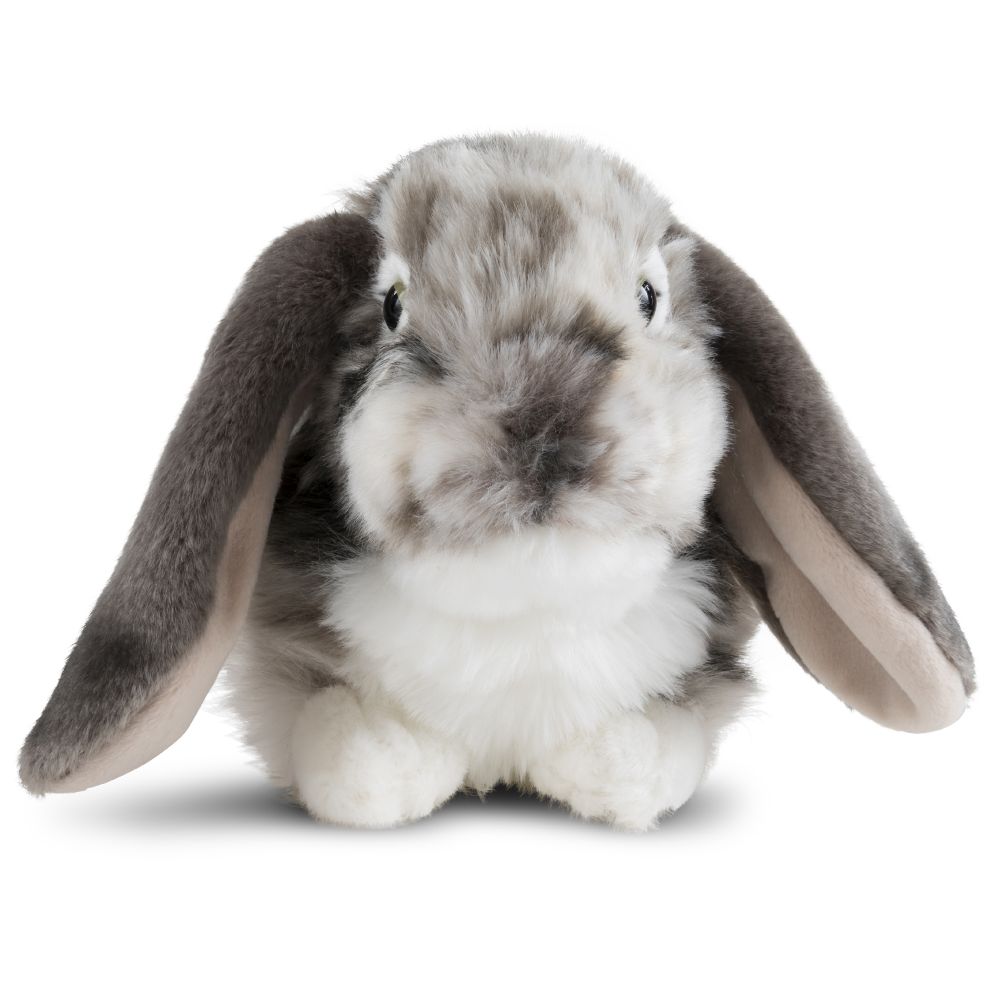 dutch-lop-eared-rabbit-plush