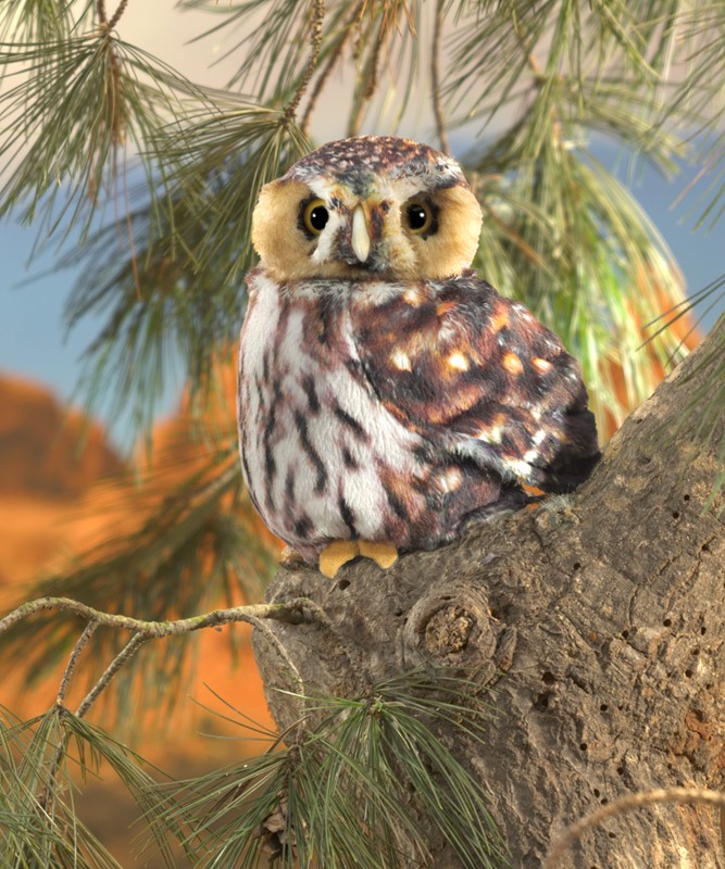 pygmy-owl-puppet (5)